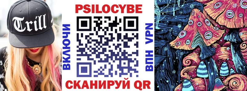 Купить где Дагестанские Огни Галлюциногенные грибы Magic Shrooms