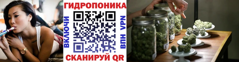 Шишки марихуана марихуана  Купить где  Дагестанские Огни 
